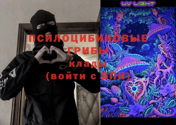 дживик Бронницы